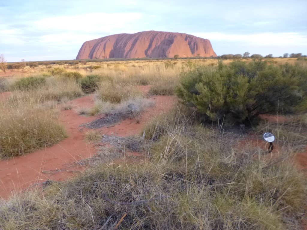 Uluru from a distance 