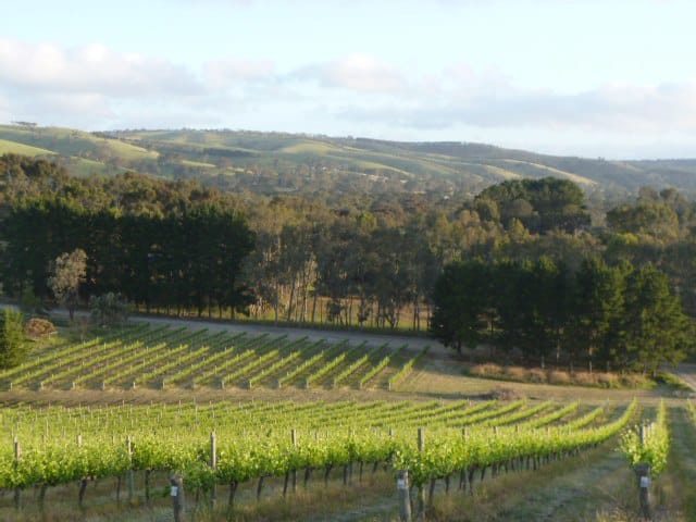 mclaren-vale