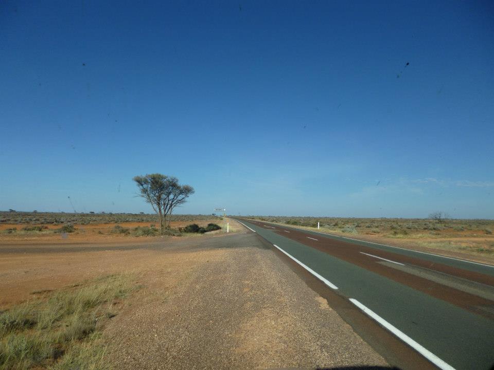 Stuart highway