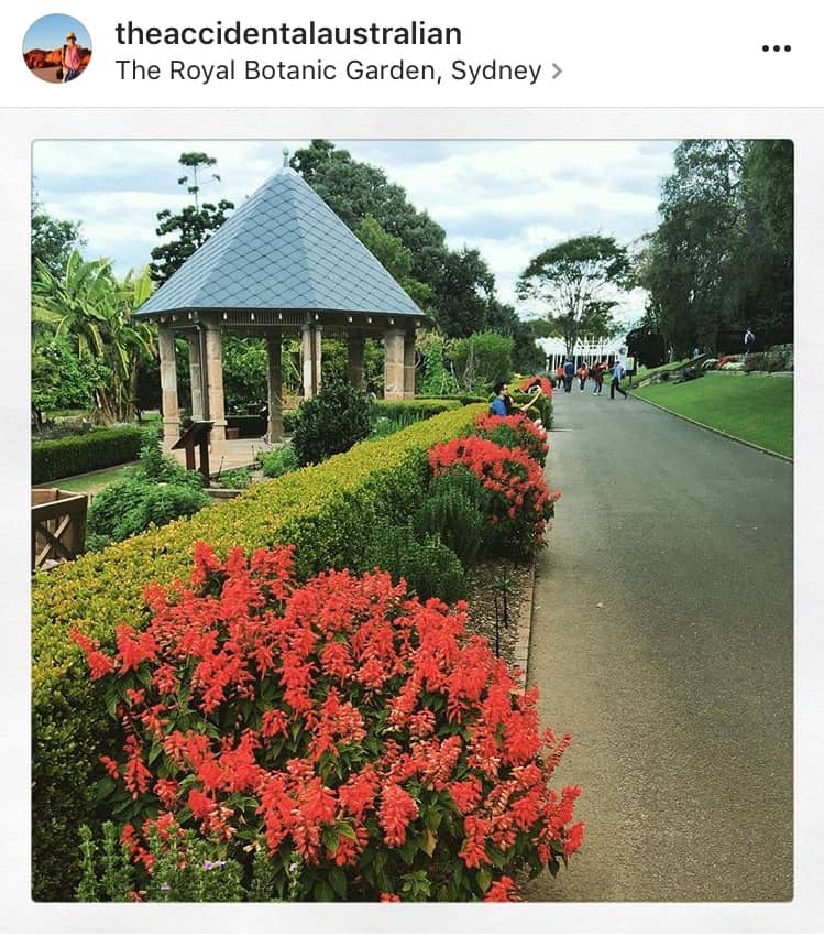 Royal Botanic Garden spring walk