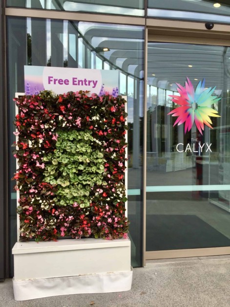 Calyx entry sign