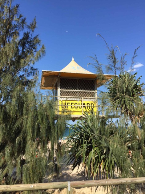 lifeguard-surfers-paradise.jpg