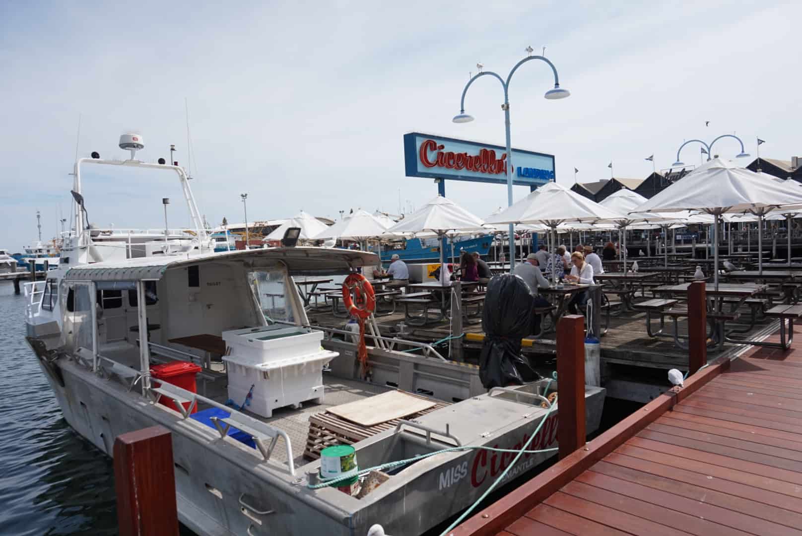 fish and chips in Fremantle, WA