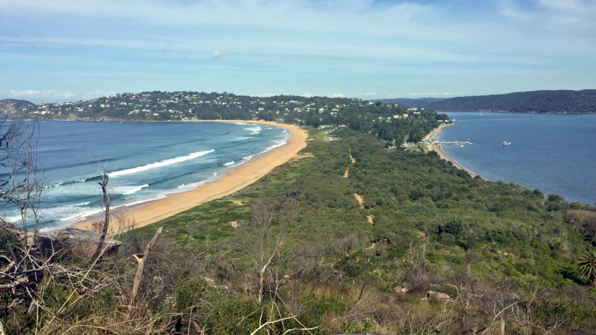 Barrenjoey Palm Beach