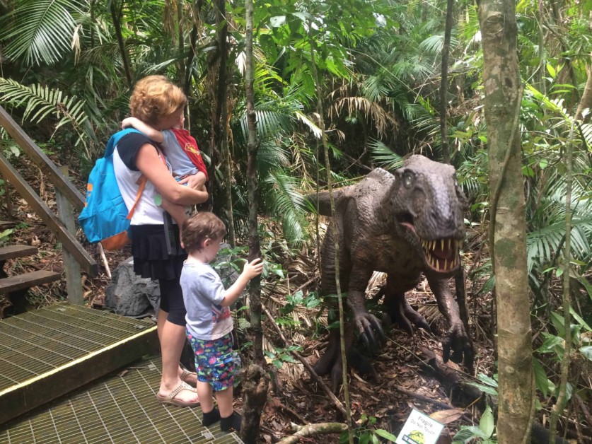 Daintree Discovery Centre (34)-min