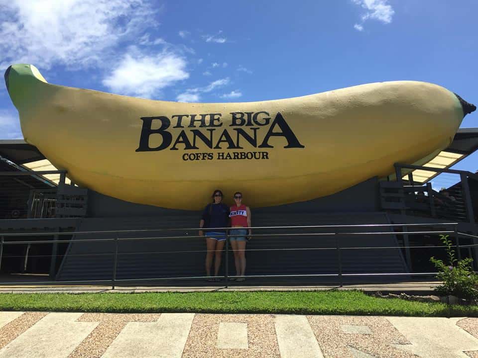 big banana