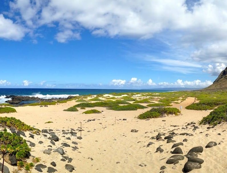 Expedition Wildlife - Kaena Point Trail HIke